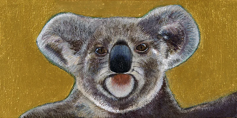 Koala