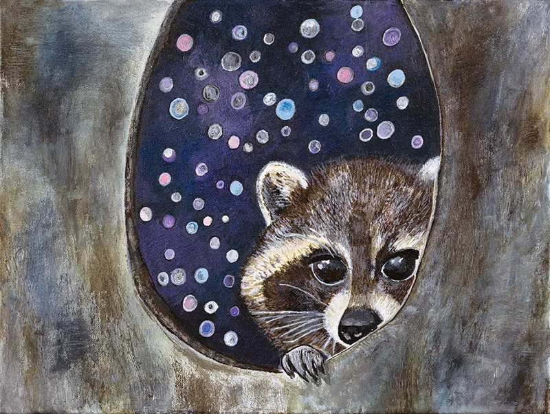 Racoon