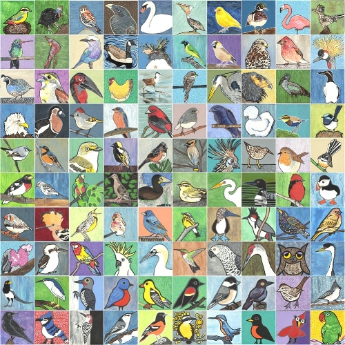 Full set of 100 birds