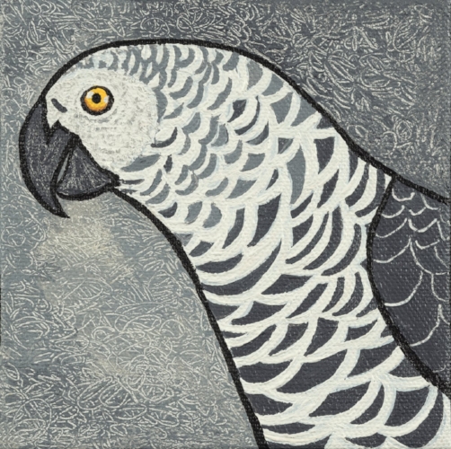African Grey Parrot - SOLD