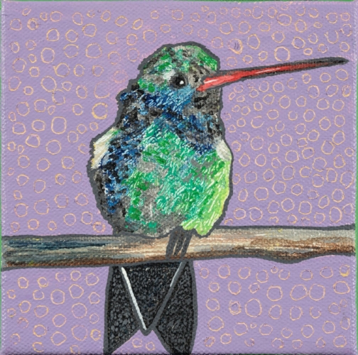 Broad-billed Hummingbird - SOLD