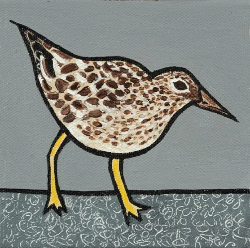 Sandpiper