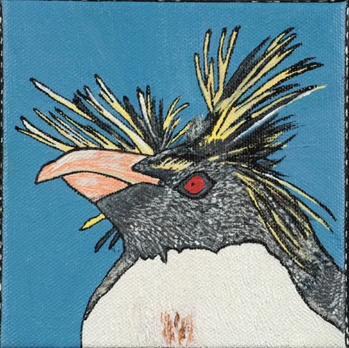 Rockhopper Penguin