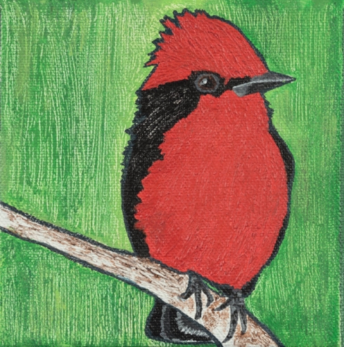 Vermilion Flycatcher - SOLD