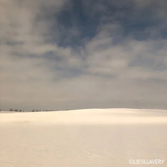2020_Jan 20_Rothko Amtrak_Michigan.jpg