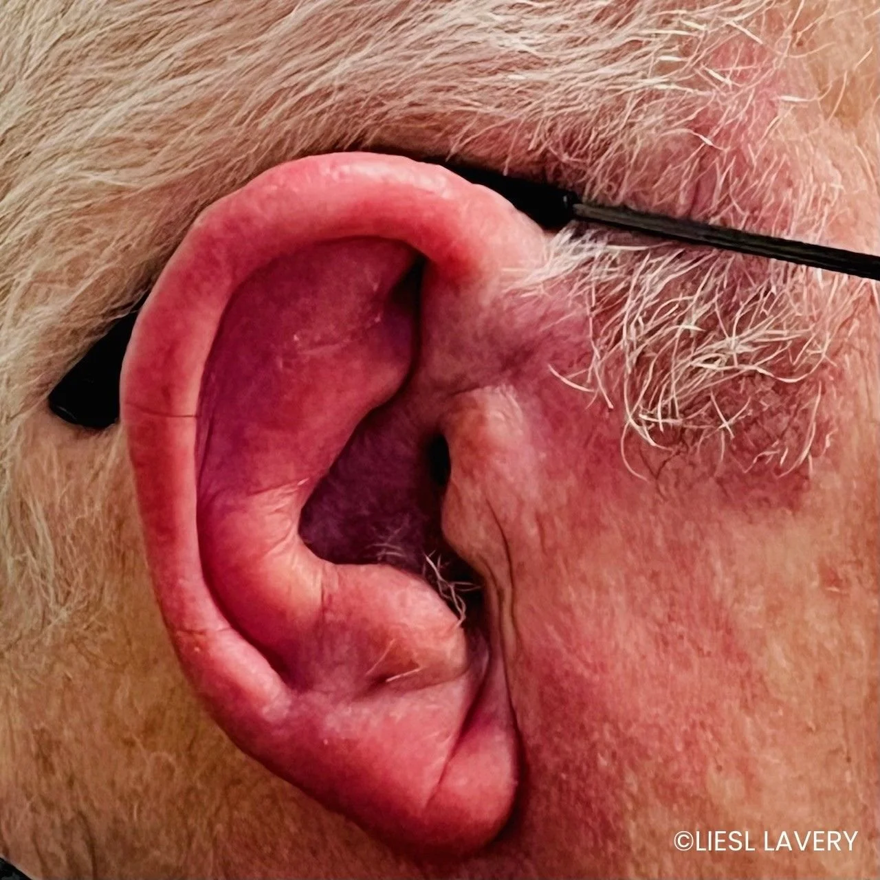 Ear