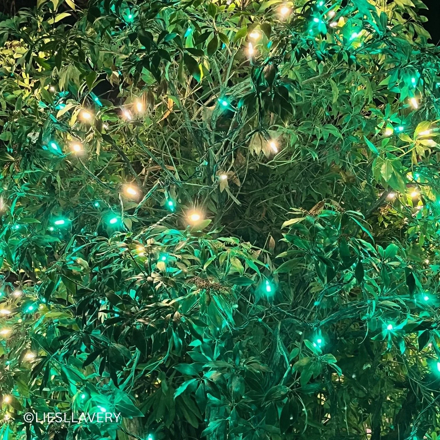 Green Christmas