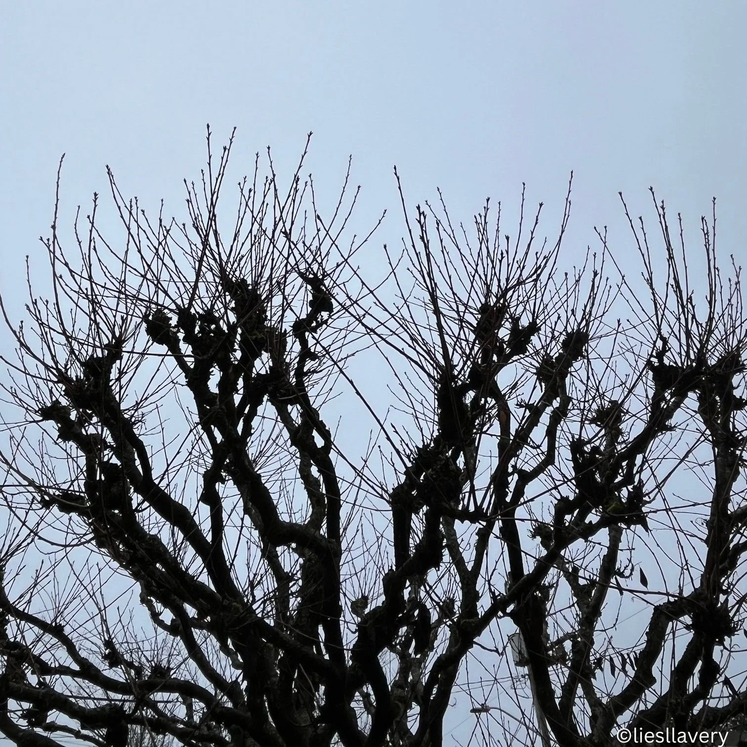 Letting Go Full Blast