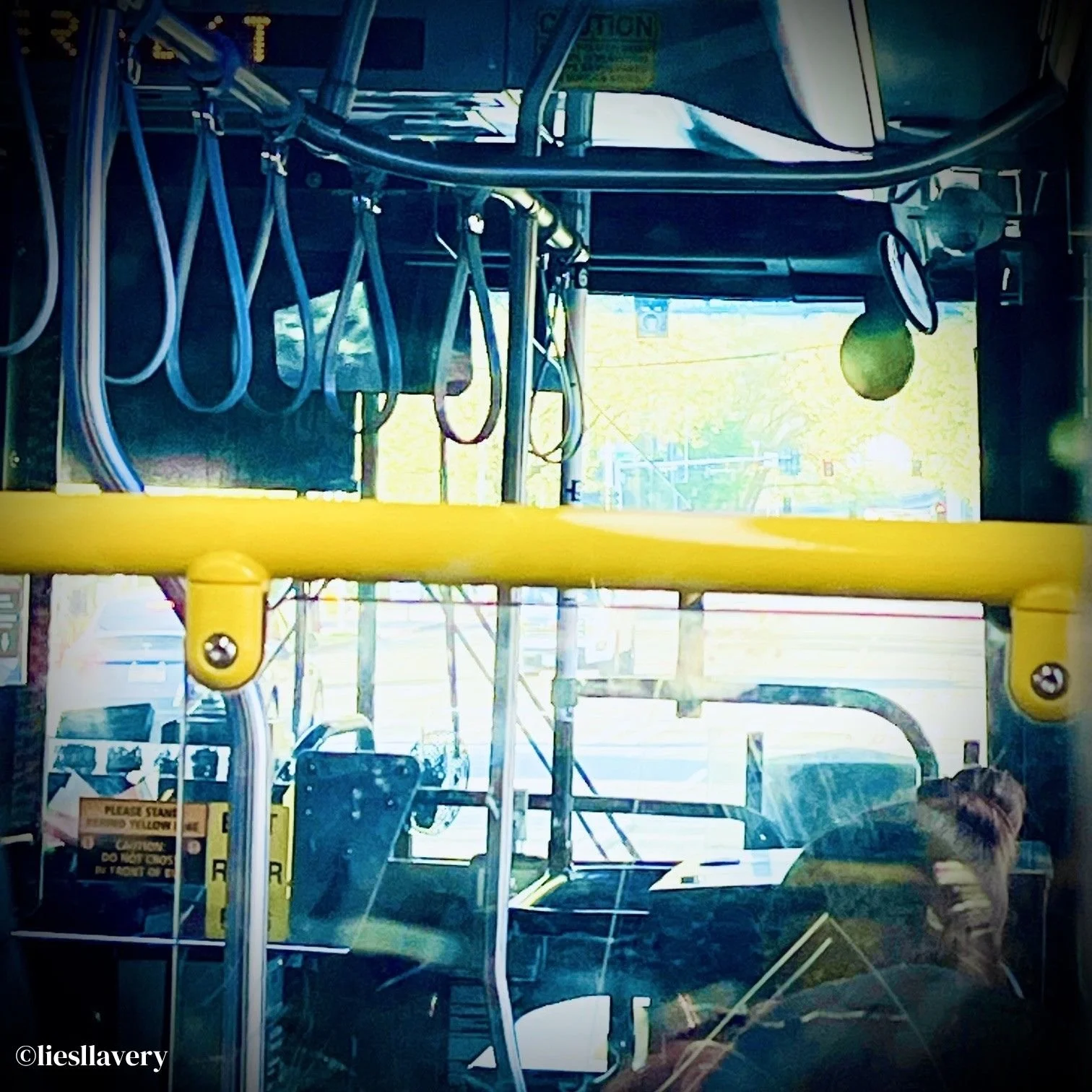Urban Transport