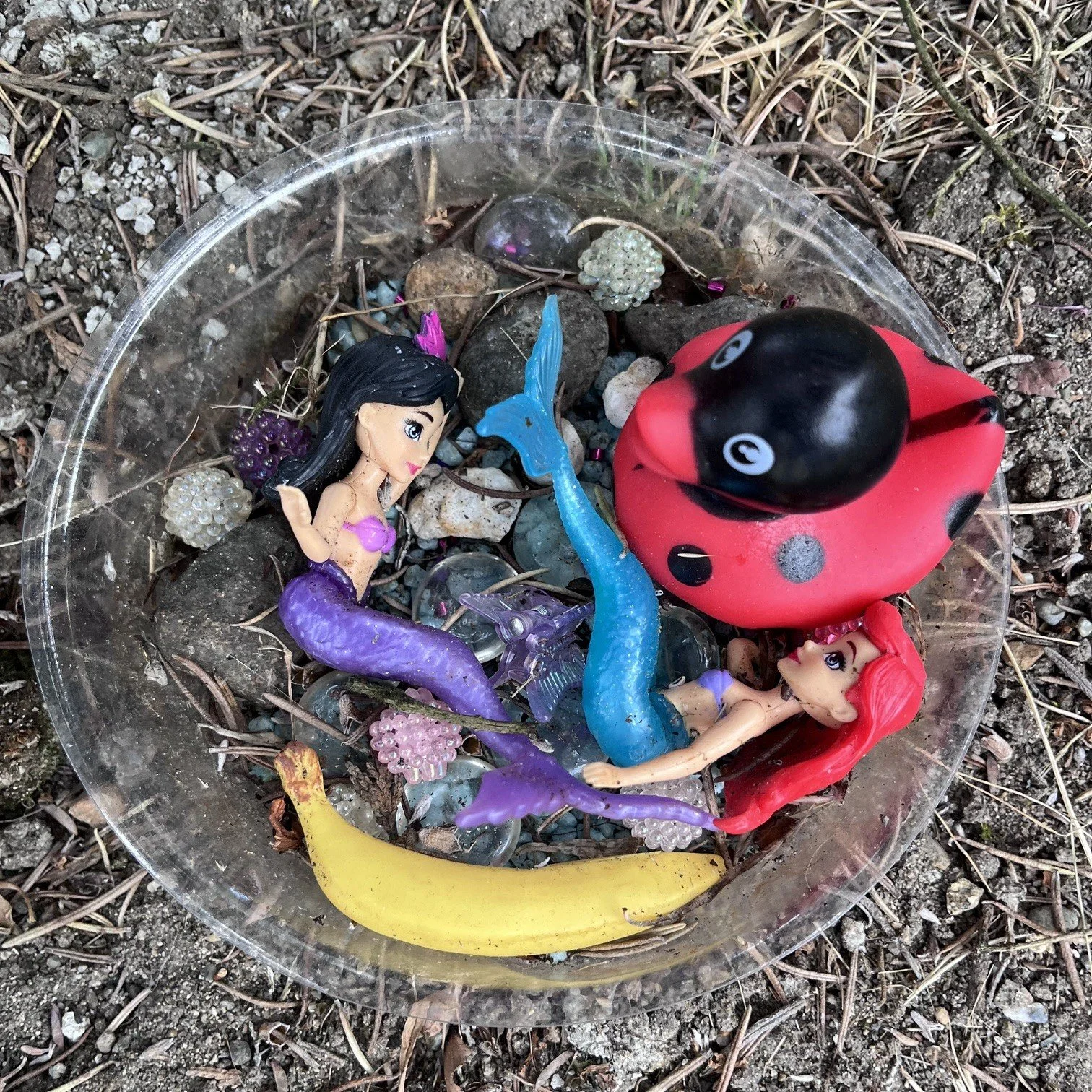 Magic Mermaid Society