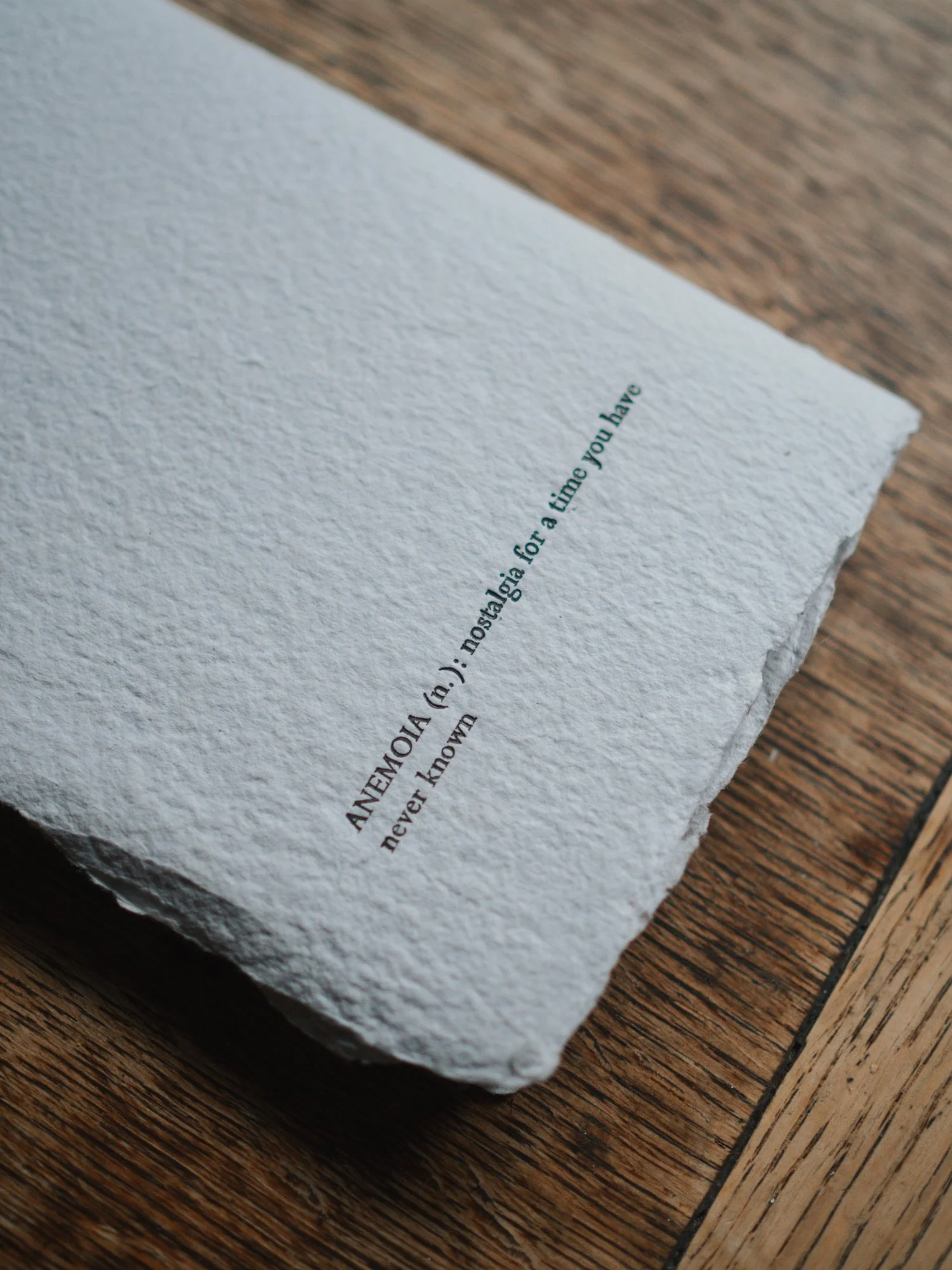 anemoia notebook_inkysquare-16.jpg