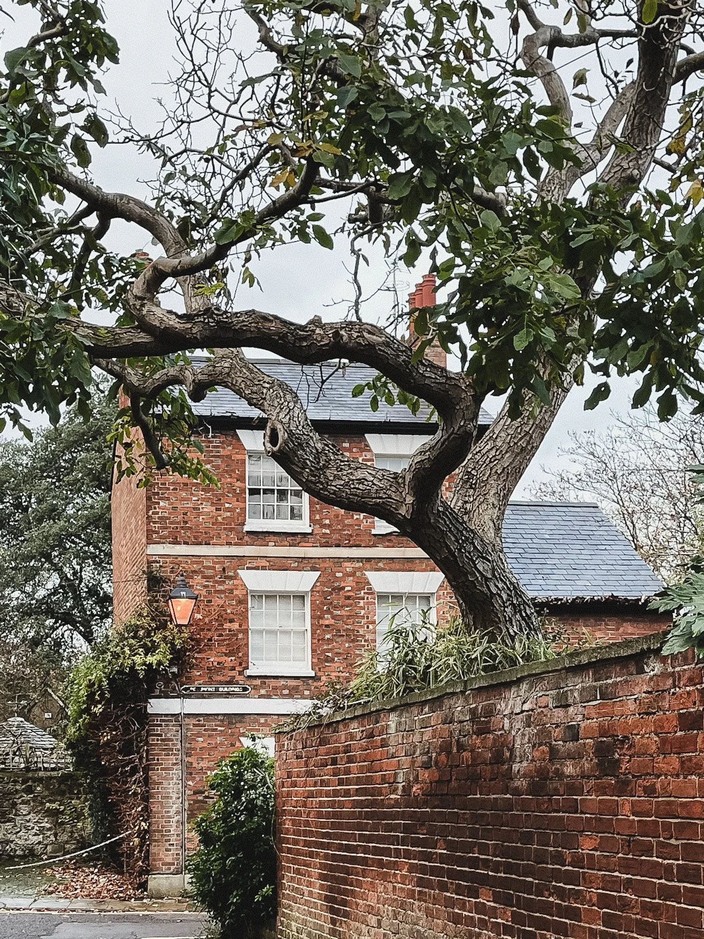 I love being surprised by glimpses of places I already know. This was so perfectly framed, as I was walking more slowly than usual, early for an appointment. It isn&rsquo;t a place I forget is there, exactly, but I have no reason to turn that corner.