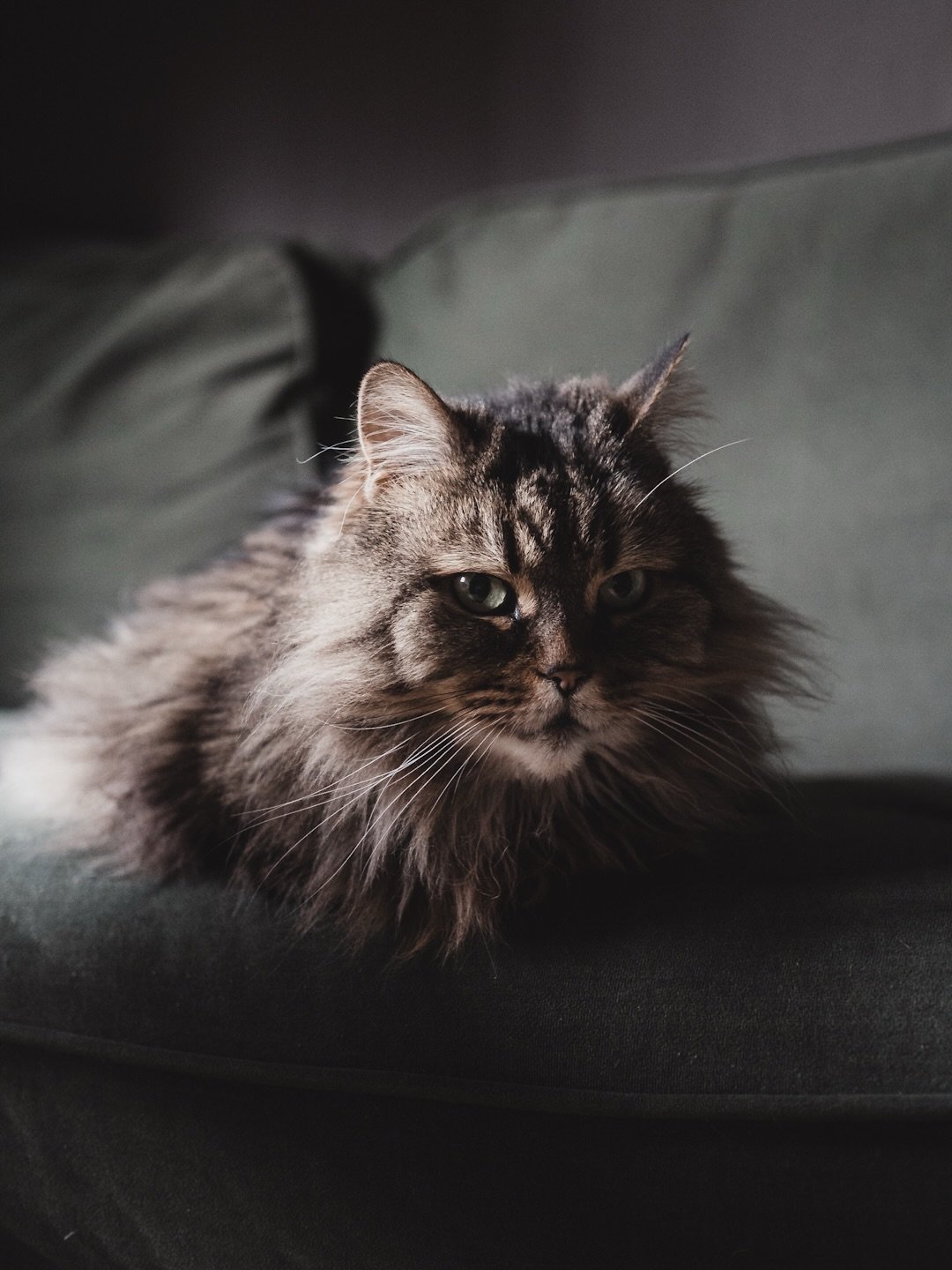 It&rsquo;s been quite an intense week and I&rsquo;d been gazing longingly at the blank space on my calendar for today. A slow, restful morning was just what I needed before a gently creative afternoon. There&rsquo;s a new post on Another Chapter (lin