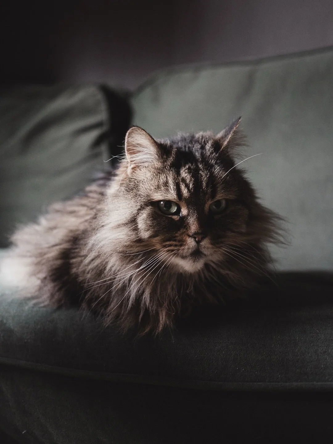 It&rsquo;s been quite an intense week and I&rsquo;d been gazing longingly at the blank space on my calendar for today. A slow, restful morning was just what I needed before a gently creative afternoon. There&rsquo;s a new post on Another Chapter (lin