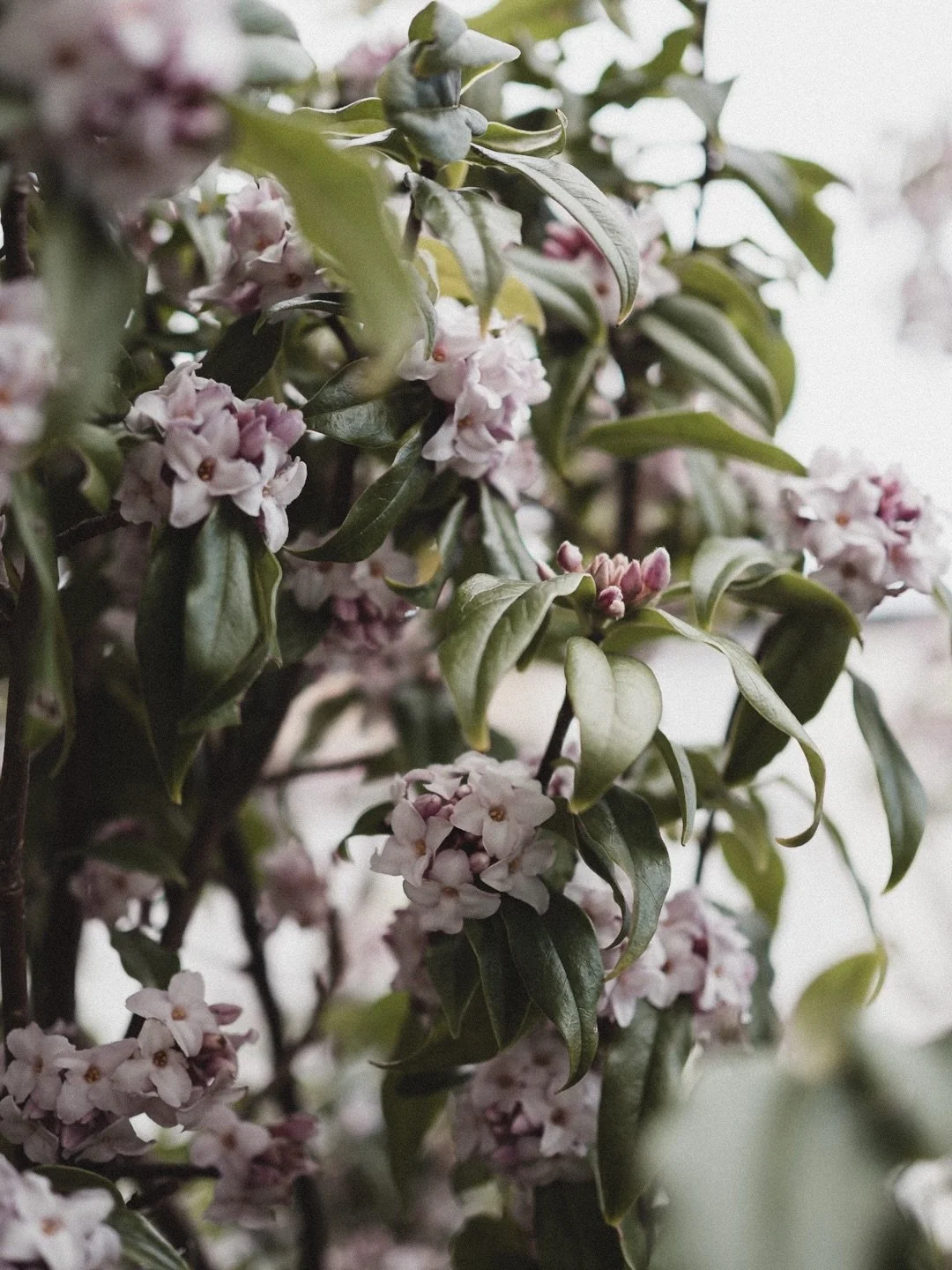 February feels like a stepping stone. There&rsquo;s something calm and stable about its symmetrical four weeks (except, of course, on leap years, when it turns eccentric). In between the nonsense of January, in all its guises, and the overblown promi