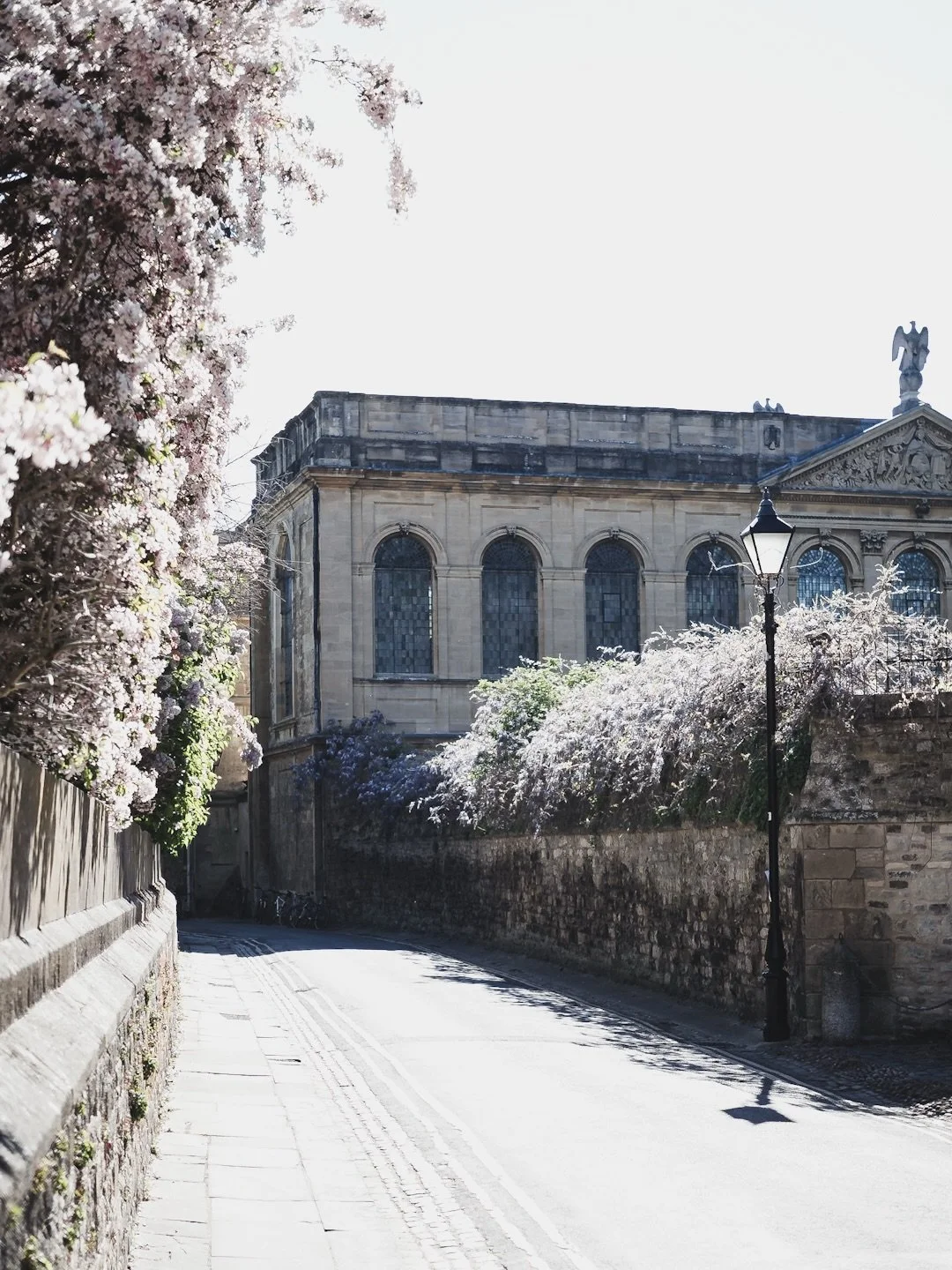 Annual Oxford lilac spam (but still the scent reminds me of F&aring;r&ouml;)