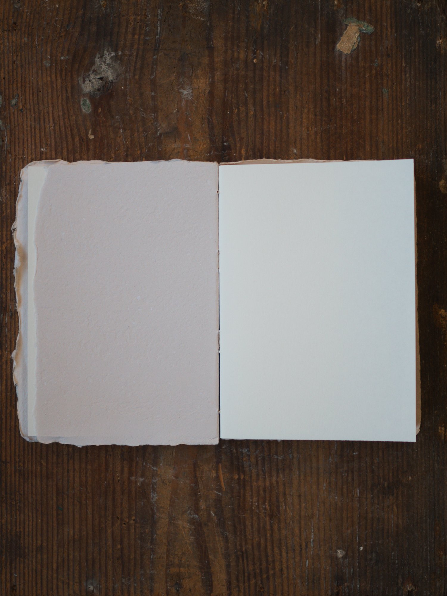 Walnut ink notebooks-05.jpg