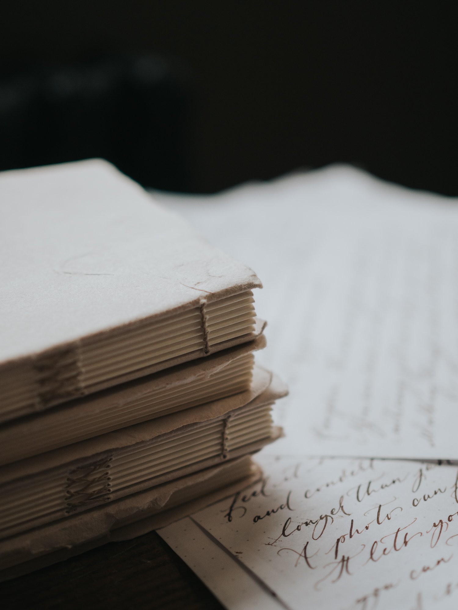 Walnut ink notebooks-01.jpg