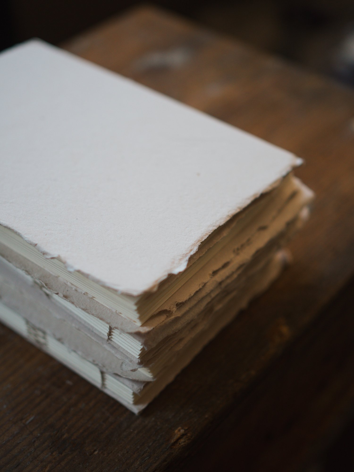 Walnut ink notebooks-09.jpg