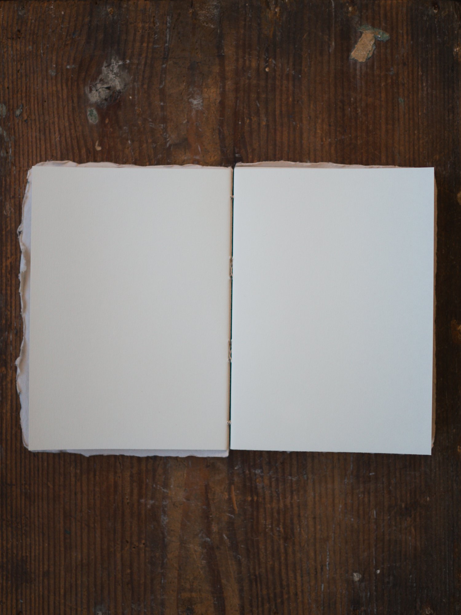 Walnut ink notebooks-06.jpg