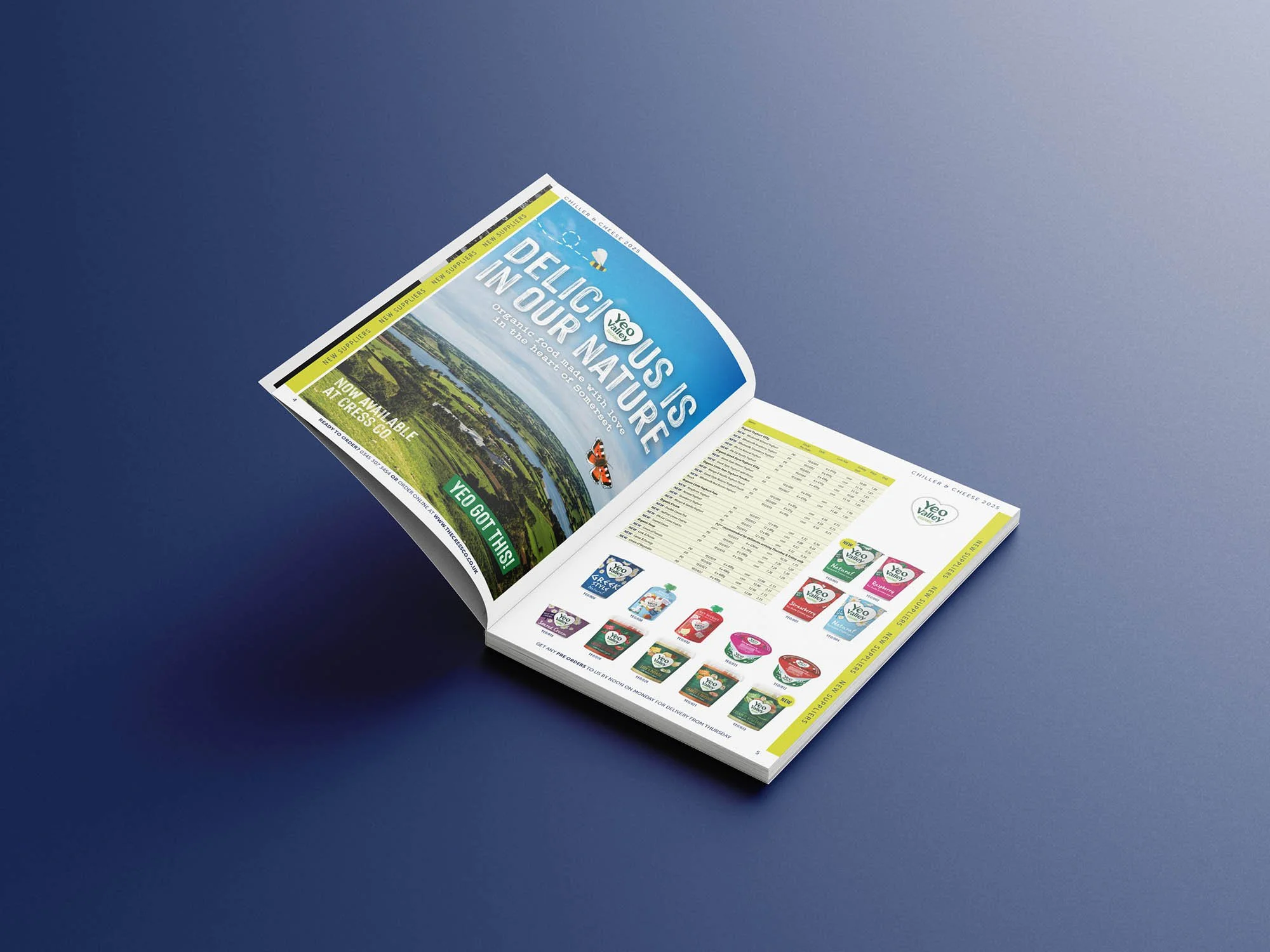Free_Book_Mockup_3.jpg