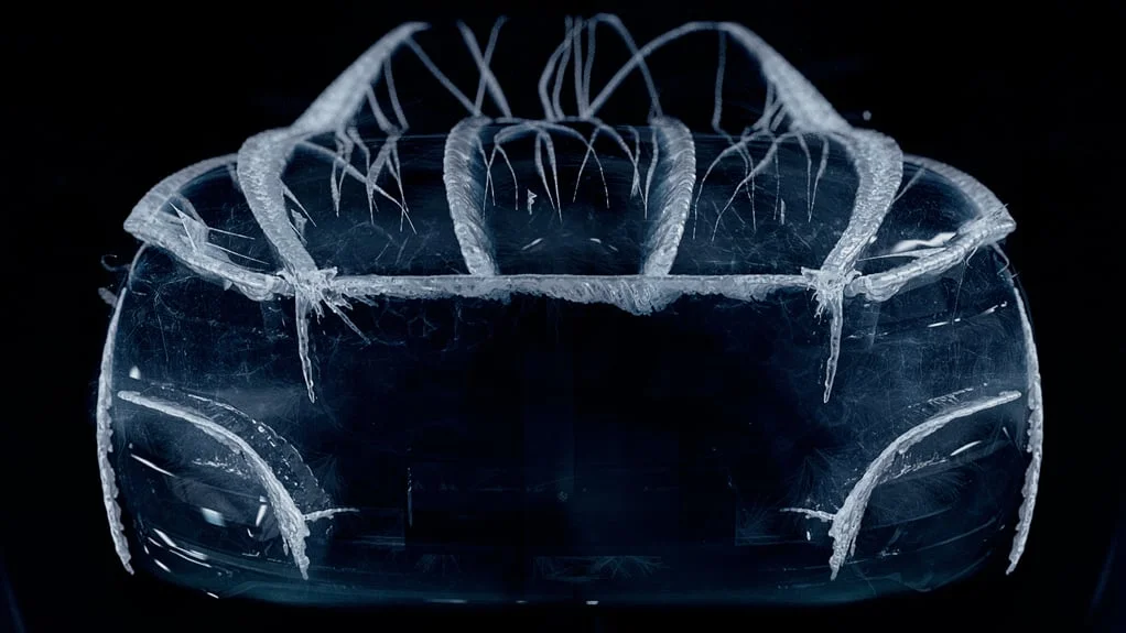 jaguar_ice_07.jpg