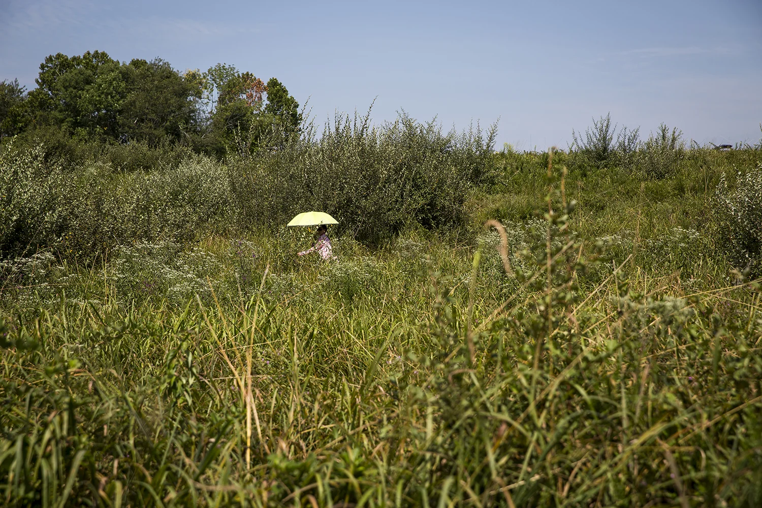 A woman walks to a spot in Giant City State Park near Carbondale to watch the solar eclipse. 