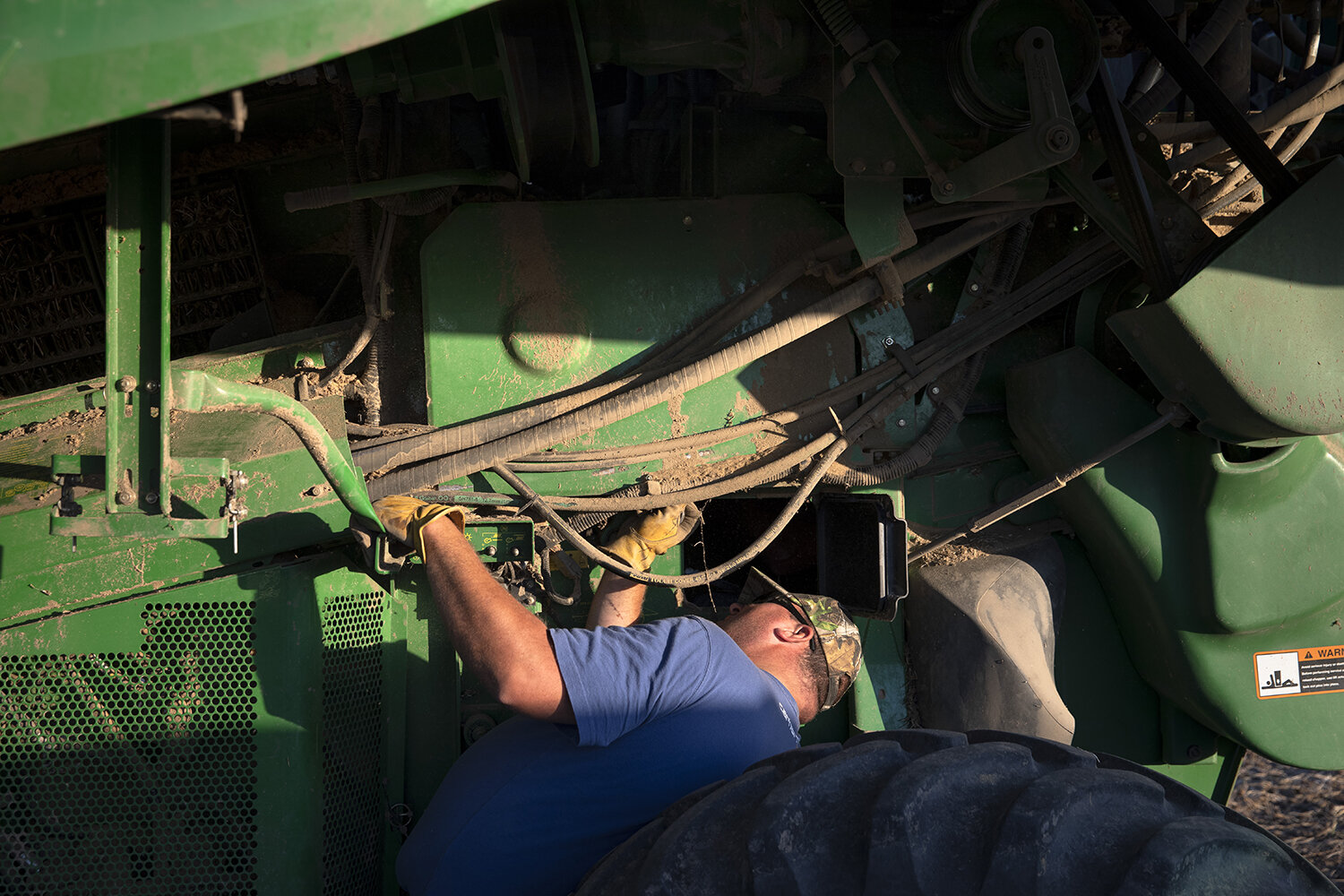 10082019Harvest_0382_t.jpg