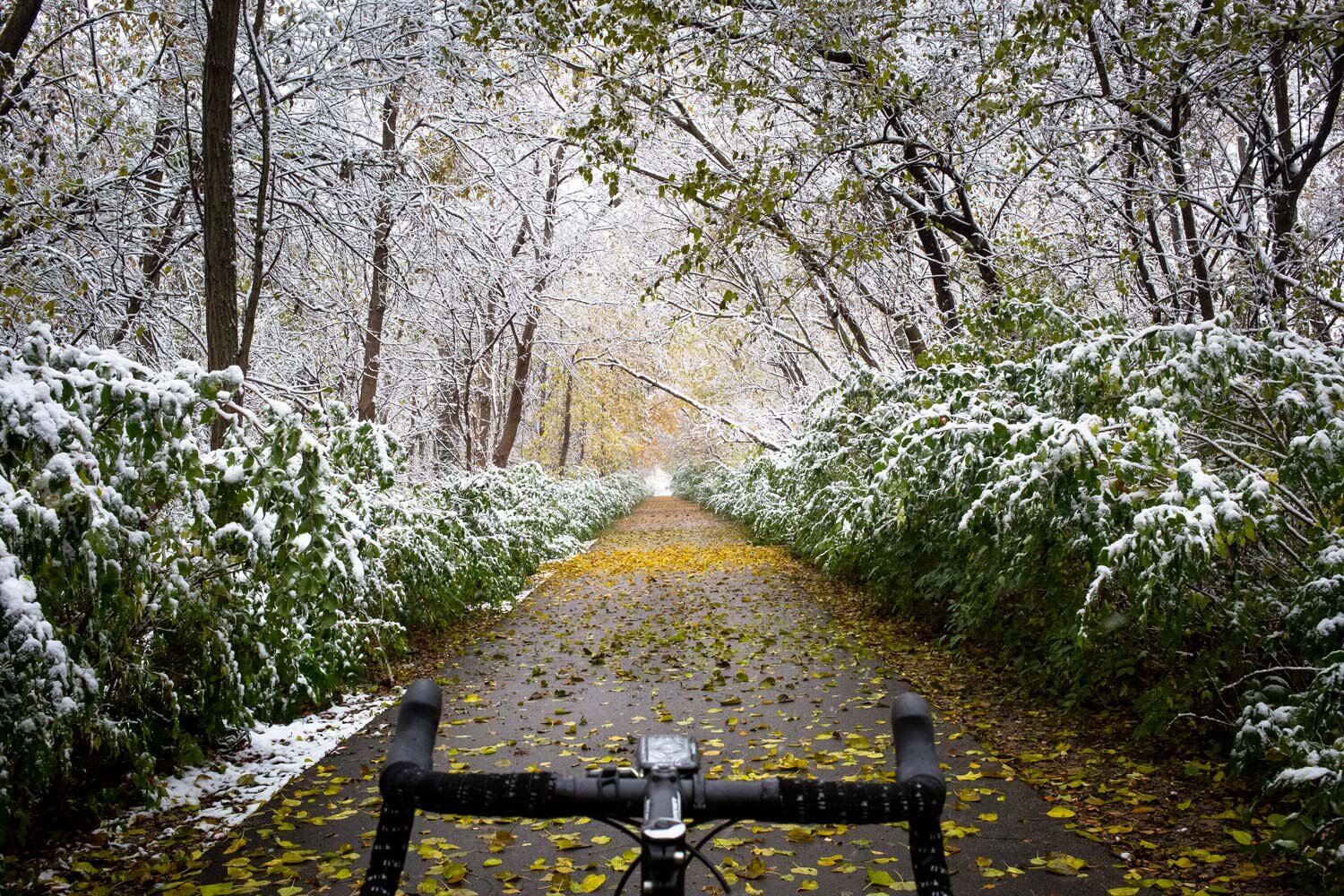  Bike ride with snow on the Interurban Trail to Lake Springfield Friday, Nov. 9, 2018  Pawnee, Ill. [Rich Saal/The State Journal-Register] 