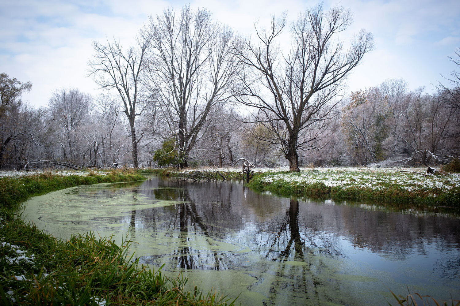  Polecat Creek near Lake Springfield flows through a snow-speckled landscape Friday, Nov. 9, 2018, in Springfield, Ill. [Rich Saal/The State Journal-Register] 