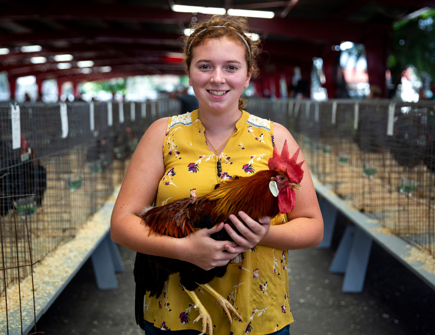 chicken-farm-agriculture-portrait.jpg