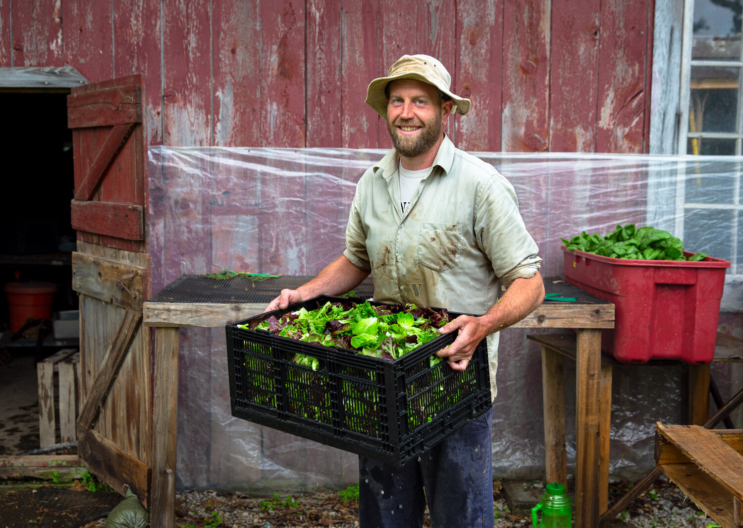 organic-local-food-portrait.jpg