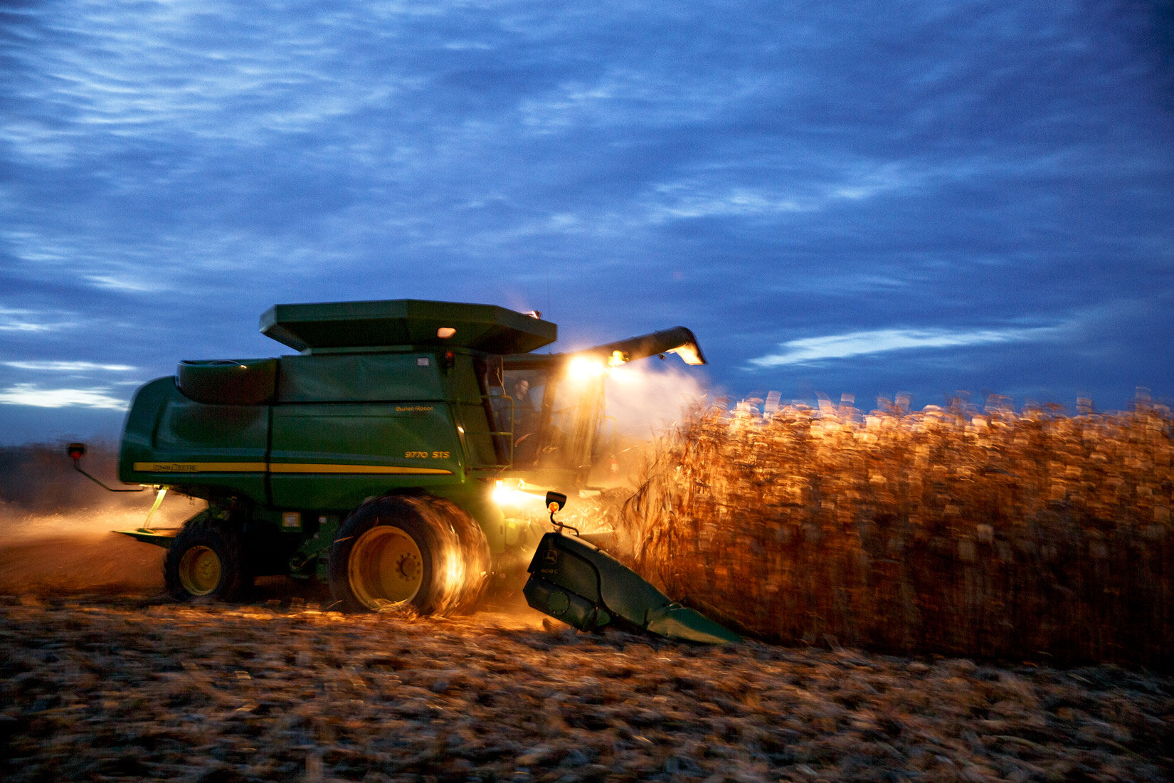 agriculture-corn-harvest-farming-6.jpg