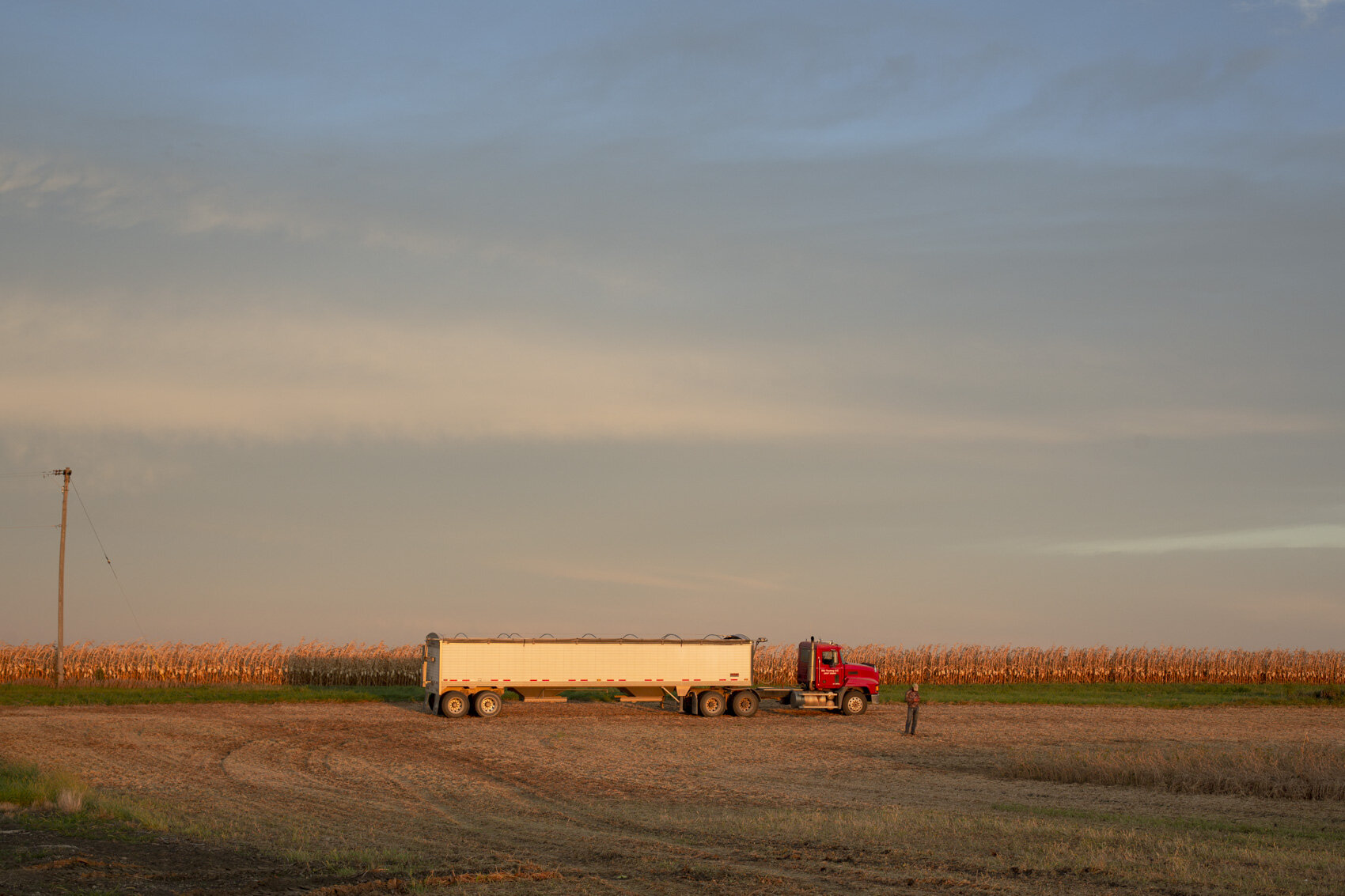 agriculture-farm-farming-harvest.JPG