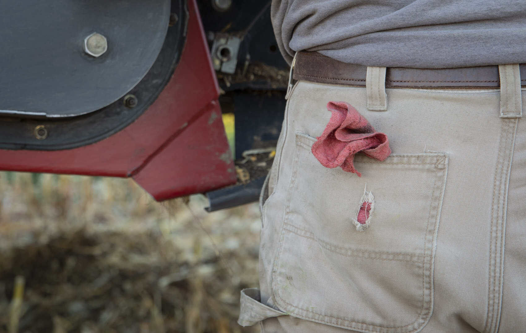 agriculture+harvest+illinois+work.JPG