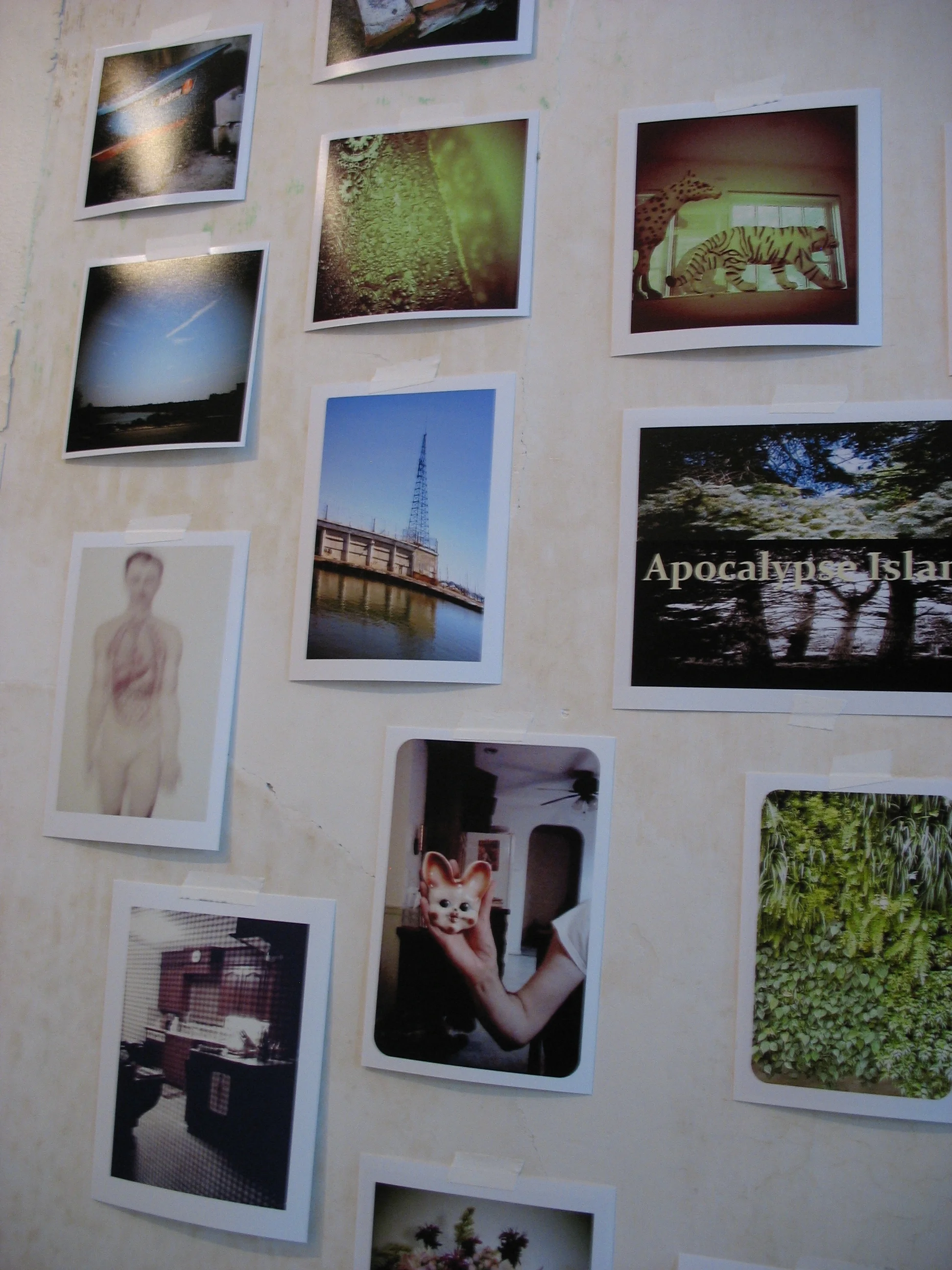  Installation view of "Remanent" from "Apocalypse Island, lowercase gallery, Wrightsville, PA, 2012 