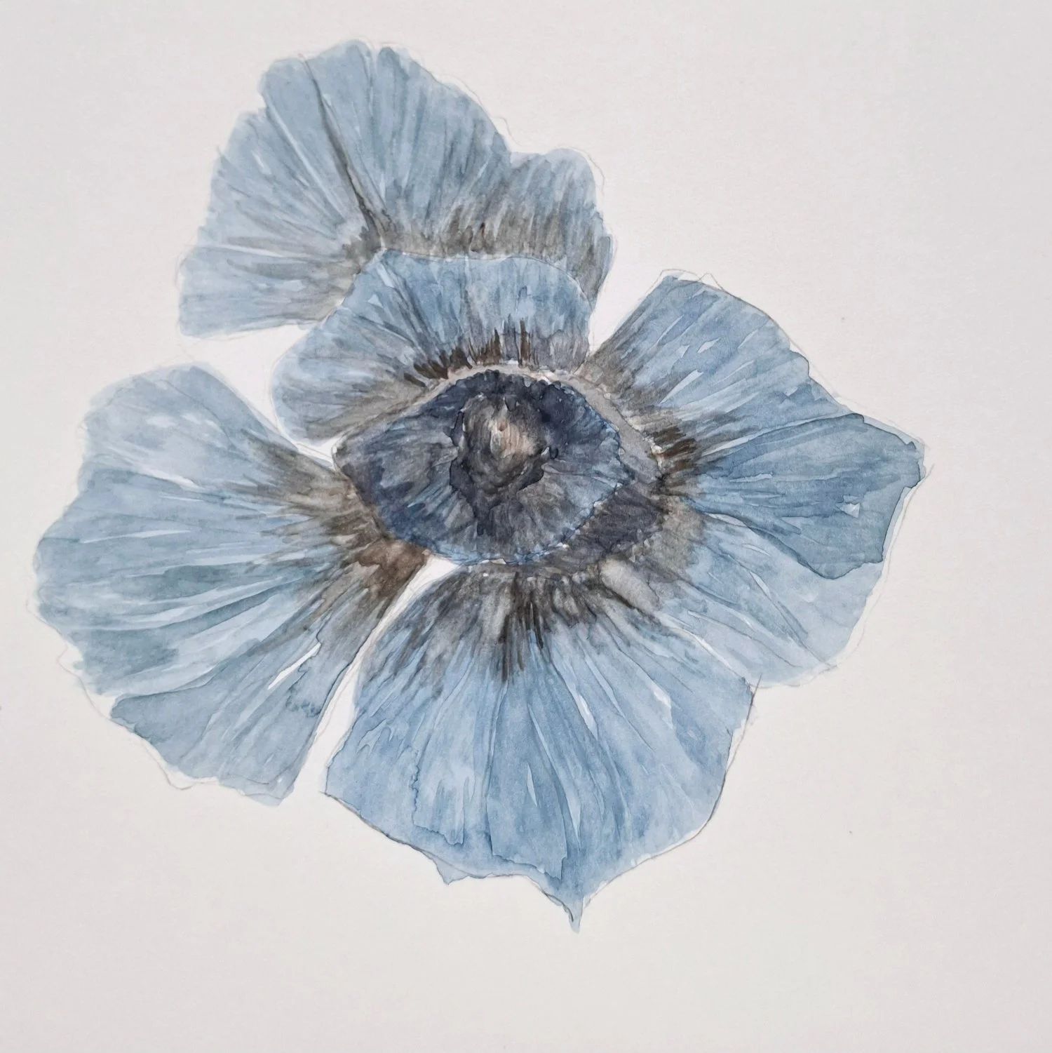 poppy no. 2