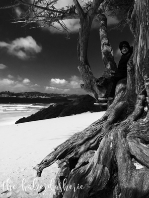 carmel by the sea • ca