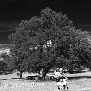 the subject of this pic is this gorgeous old oak tree... my daughter, our dog + me add to the story, but the focus remains the size + shape of this massive specimen • 'noir' filter