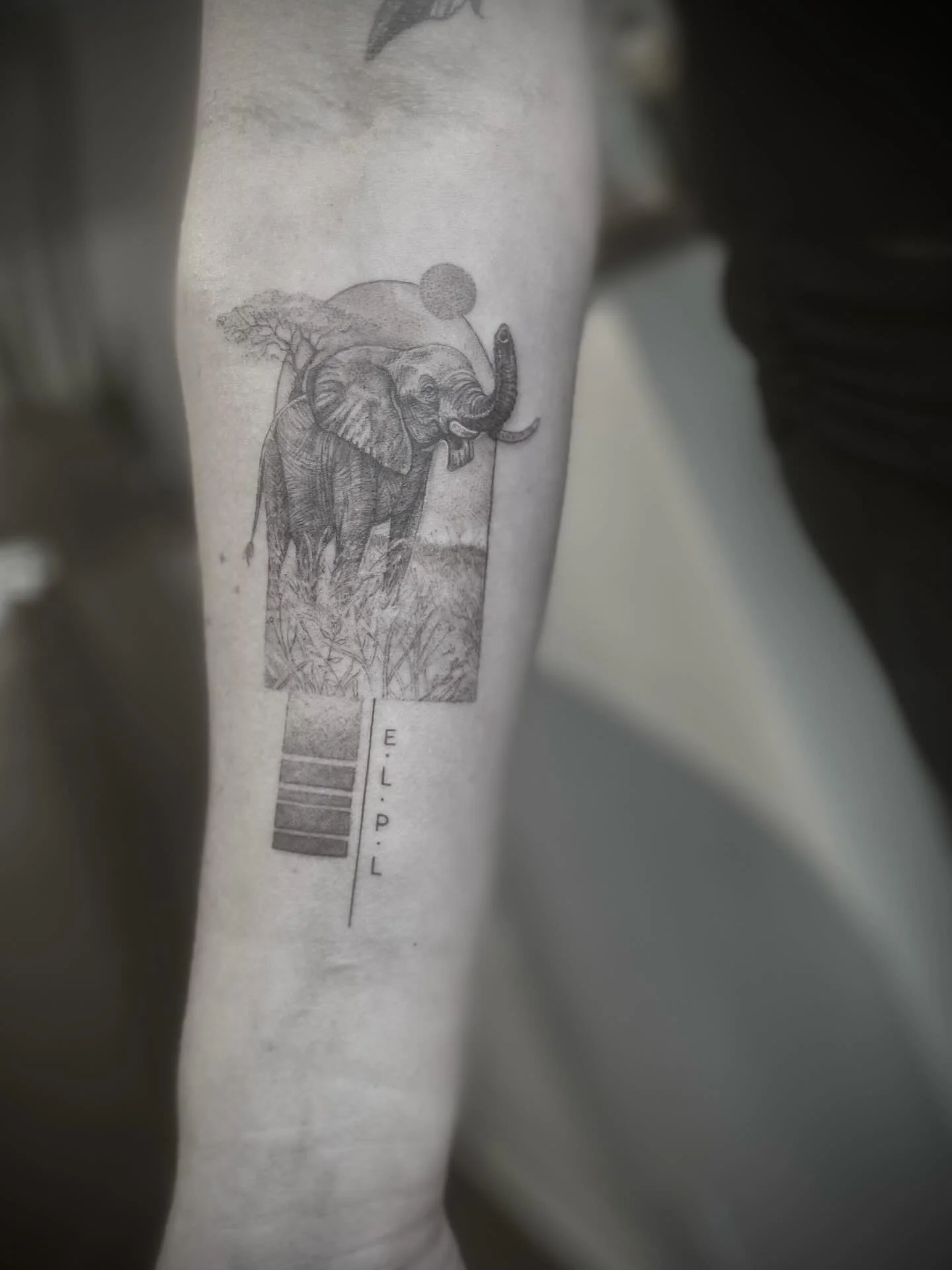 Thanks M. for trusting me with this memorial piece.