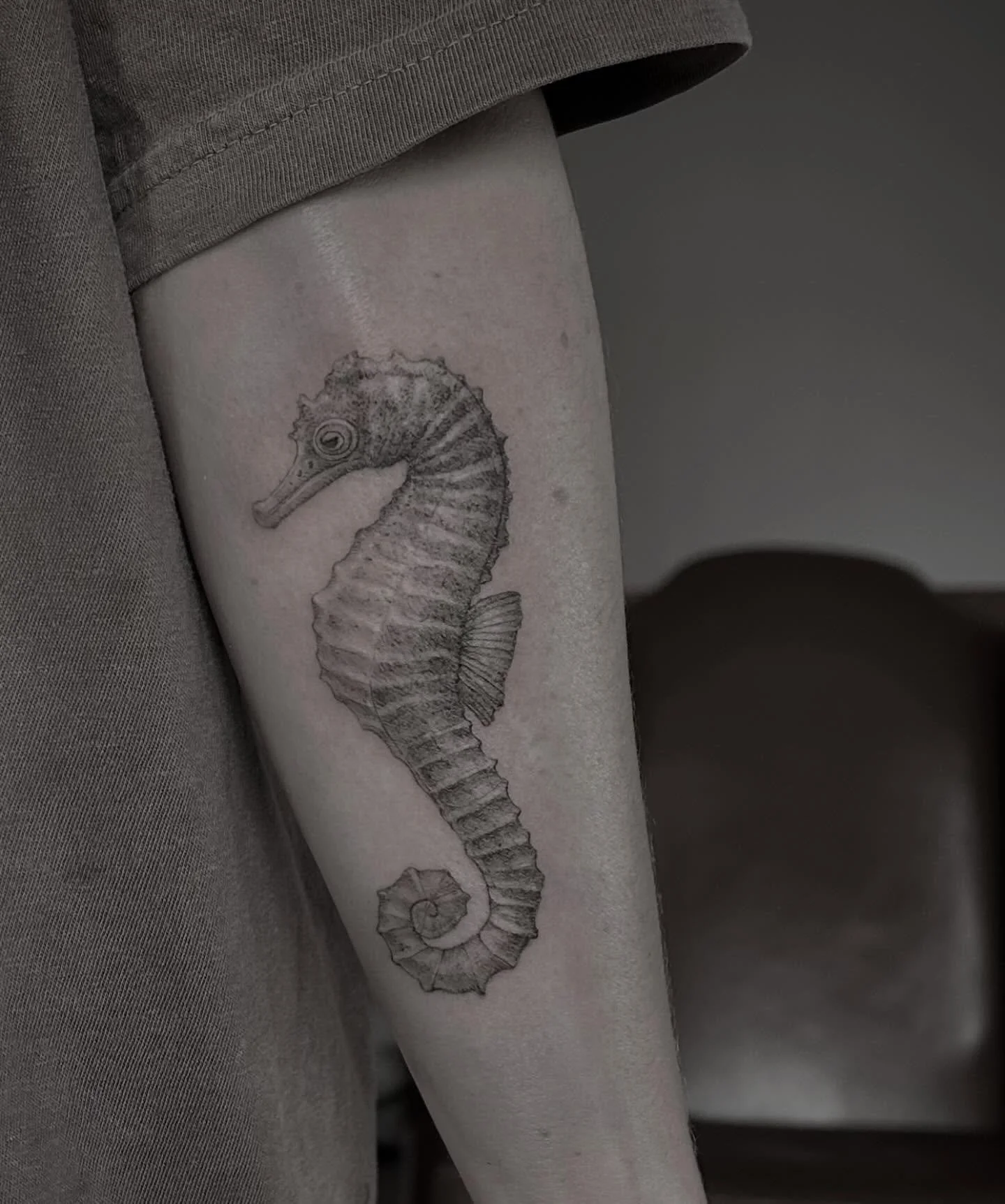 First seahorse. Thanks J.