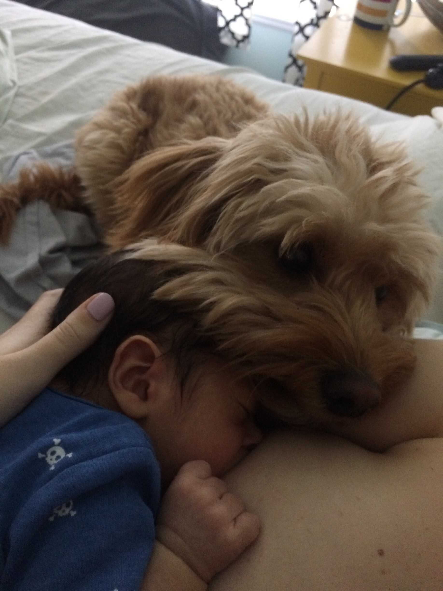 Oscar loves him.