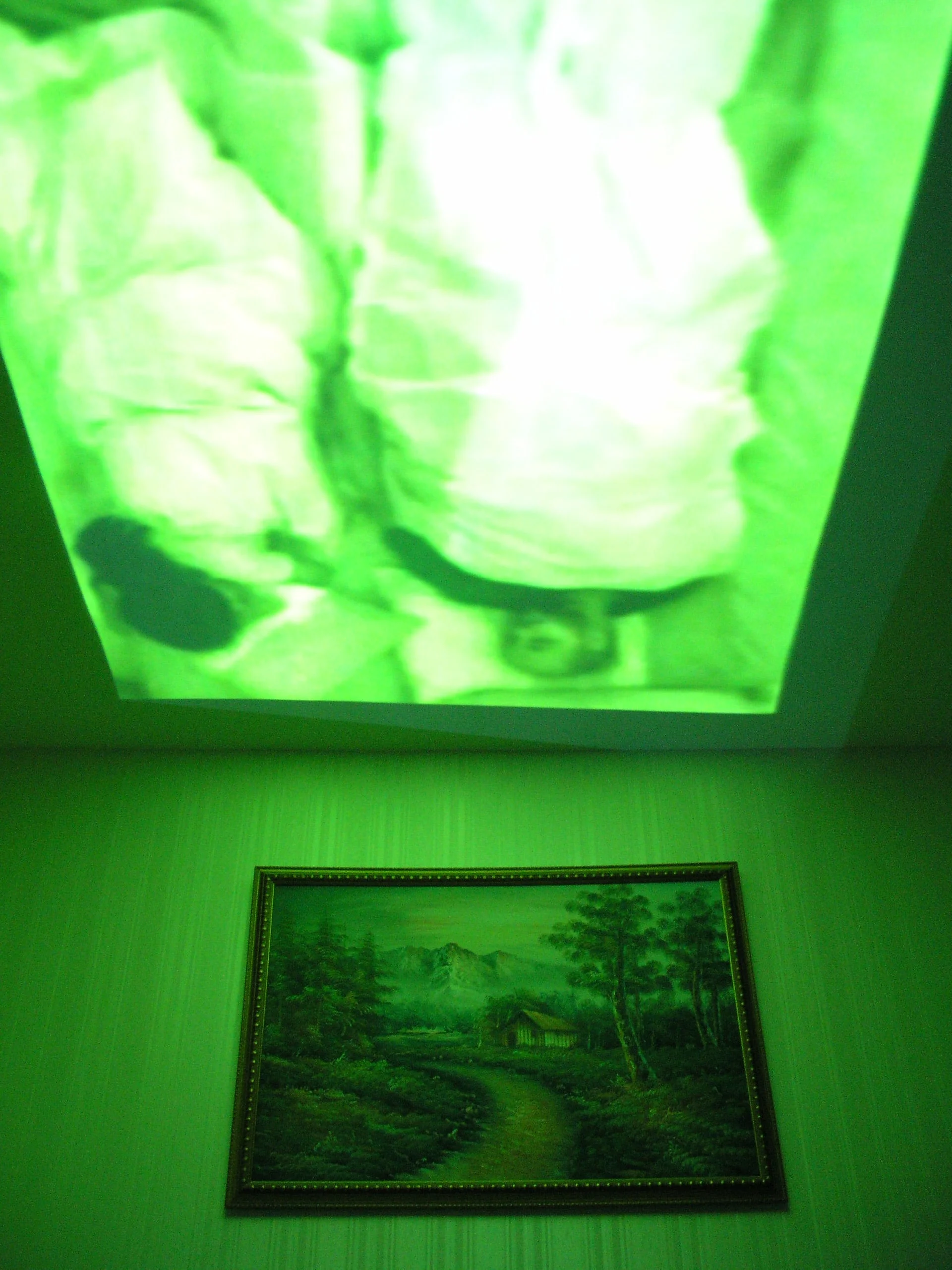 P1010207.JPG