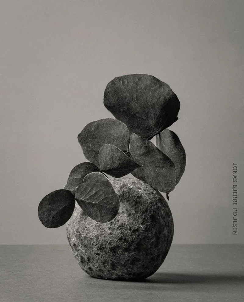 Soft Fascinations For A Calm Mind