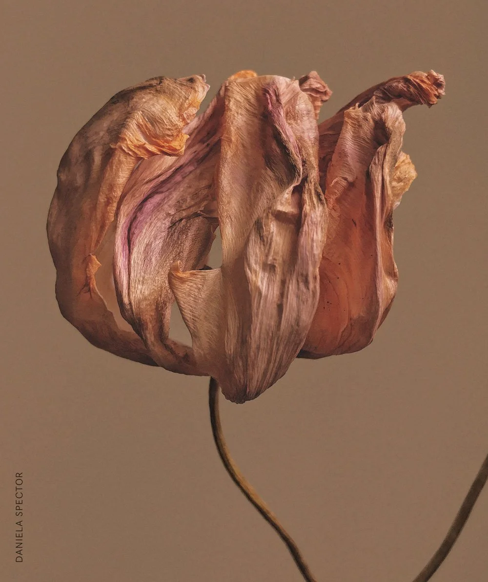 Make The World Tender Again