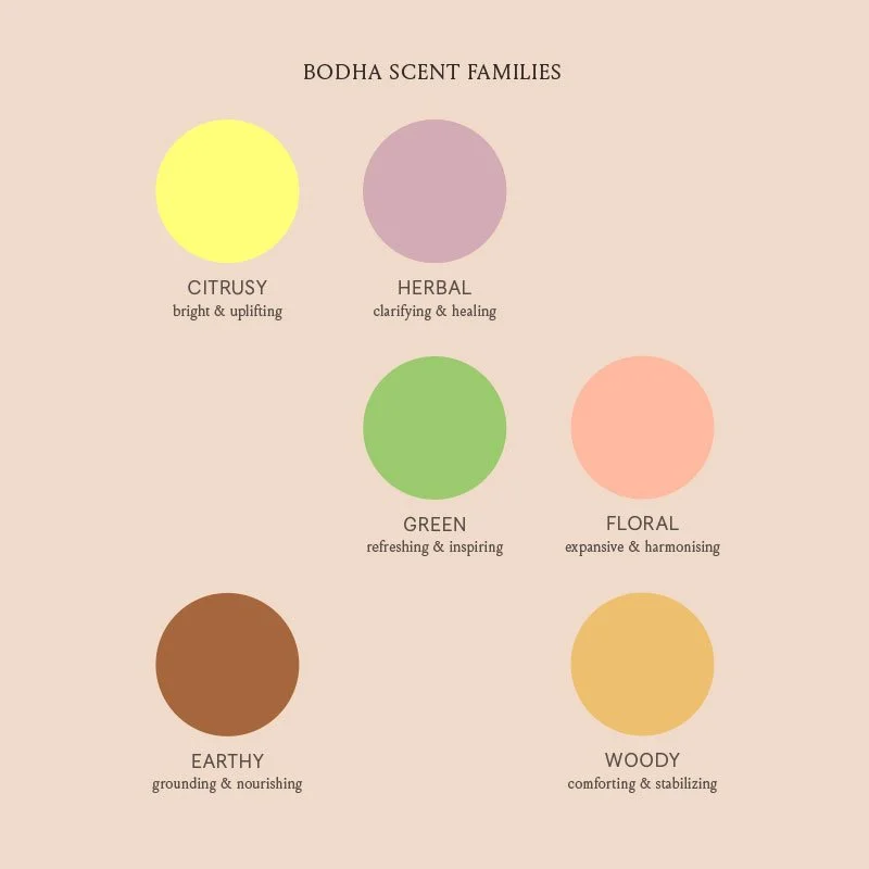 Finding The Scent You Need