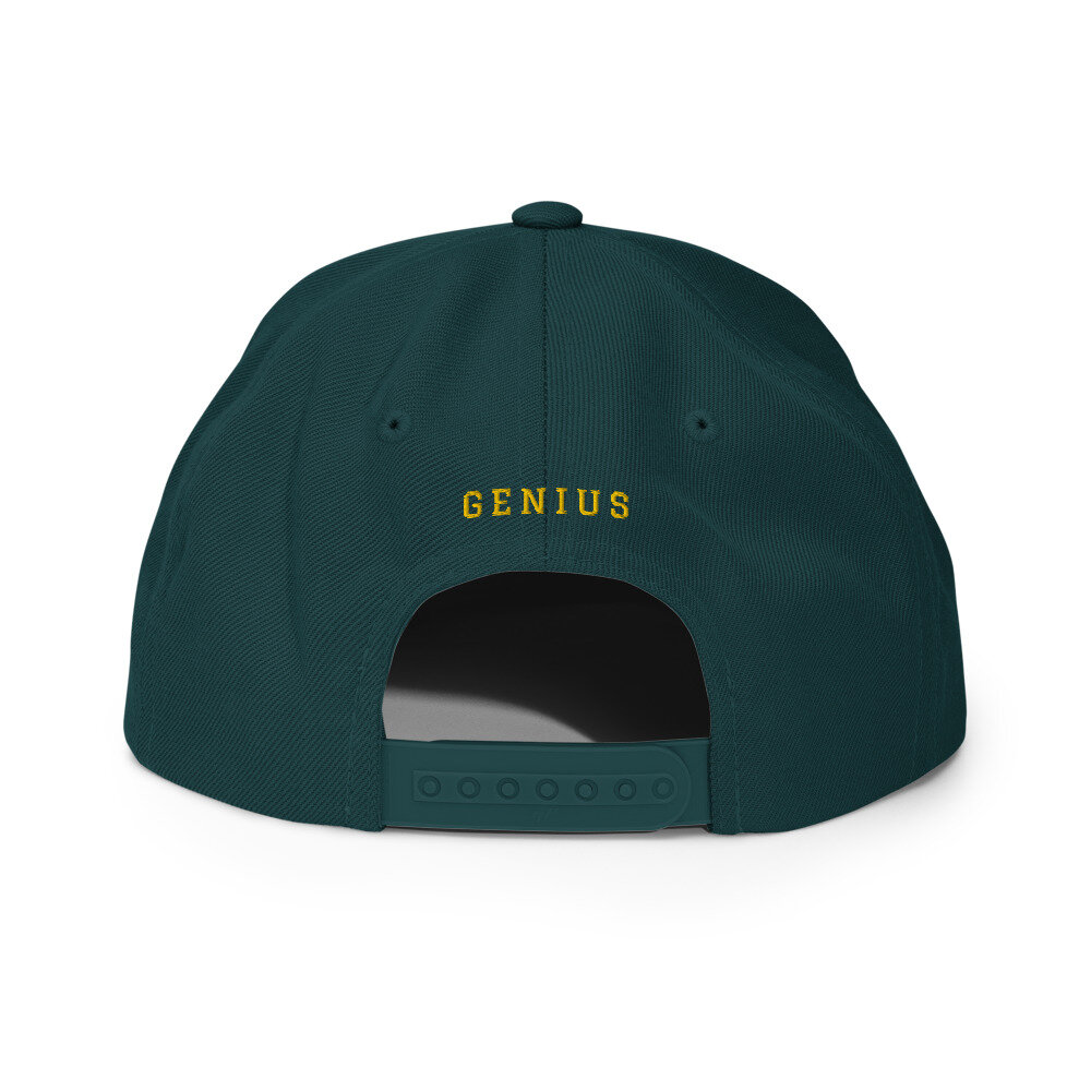 classic-snapback-spruce-back-603eda41205ad.jpg
