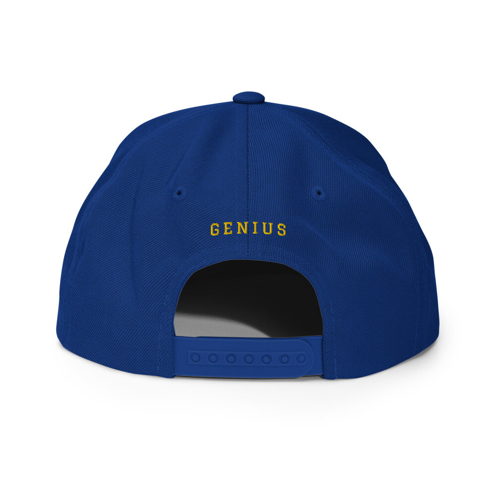 classic-snapback-royal-blue-back-603eda4120d26.jpg