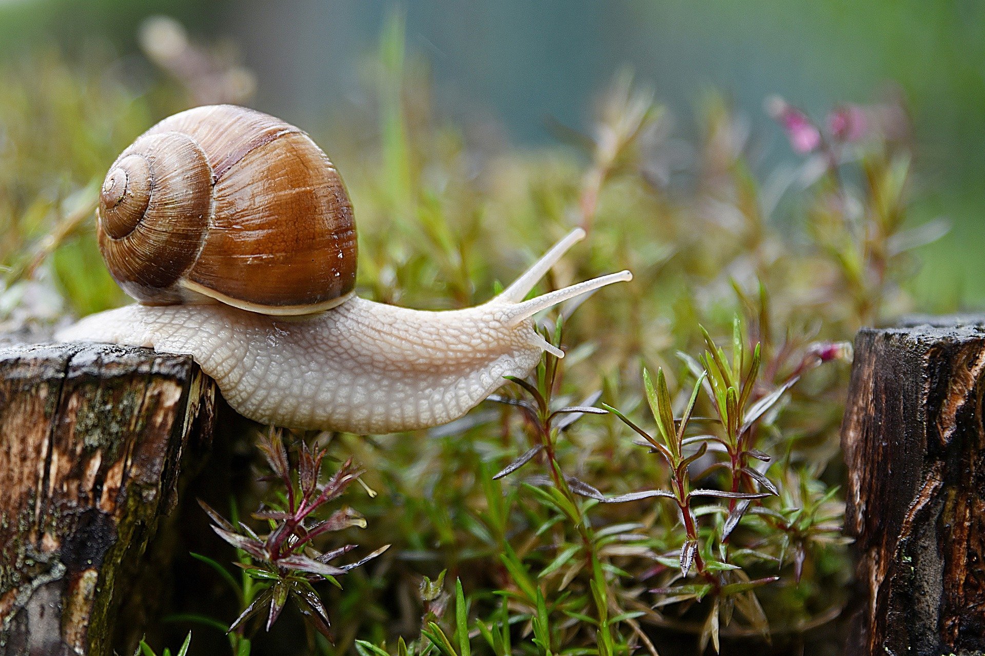 Purposeful Embodiment Practice - Shifting the Pace