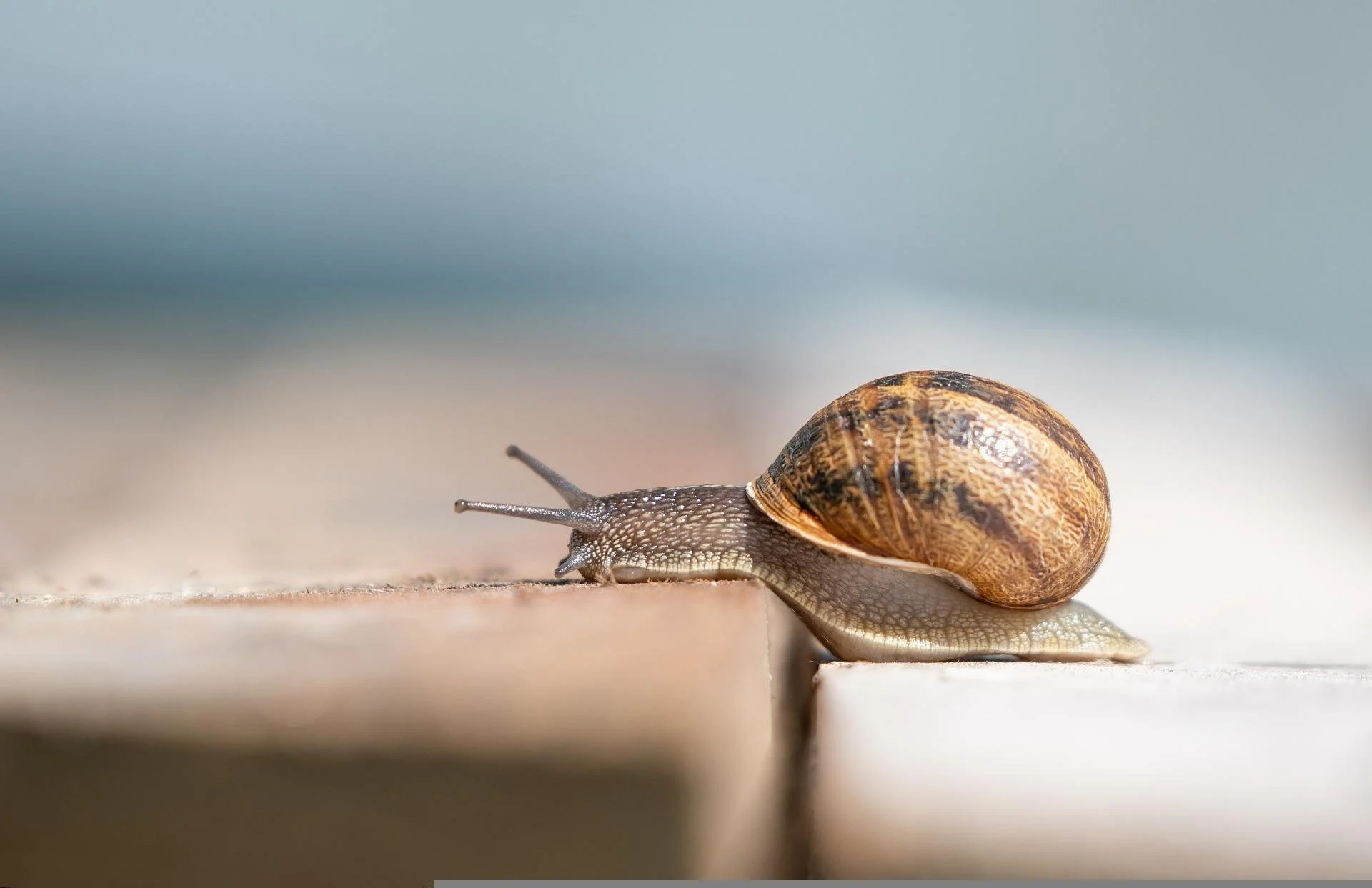 Purposeful Embodiment Practice - Shifting the Pace